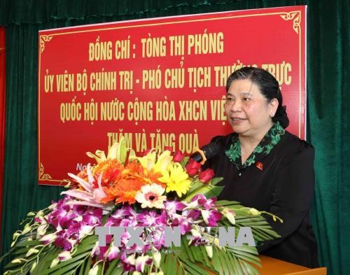 Тонг Тхи Фонг вручила подарки лицам, имеющим заслуги перед Революцией в провинции Нгеан  - ảnh 1