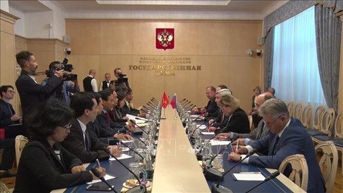 Укрепляется всеобъемлющее стратегическое партнерство между Вьетнамом и Россией - ảnh 1
