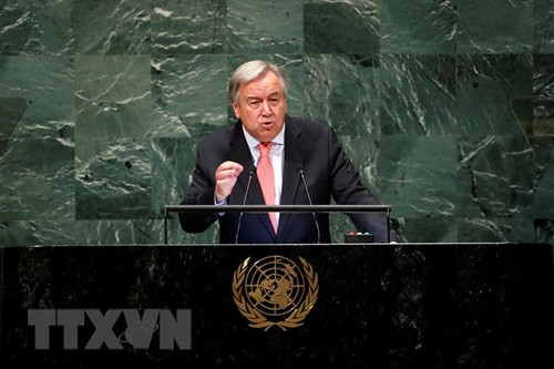 ООН и Франция призвали мир немедленно реагировать на изменение климата - ảnh 1