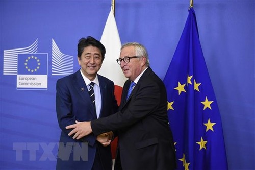 ЕС и Япония решительно стремятся к  подписанию соглашения о свободной торговле - ảnh 1