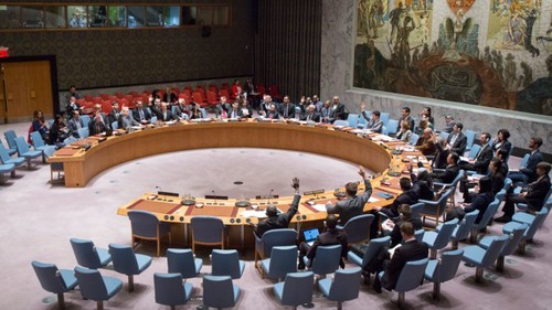 Совет Безопасности ООН снял санкции с Эритреи - ảnh 1
