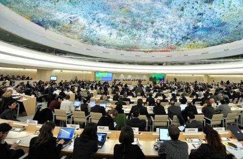 Совет ООН по правам человека обсудил роль парламента в активизации защиты прав человека - ảnh 1
