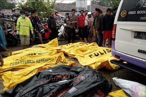 Число жертв цунами в Индонезии увеличилось до 281 человека - ảnh 1