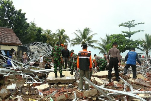Пострадавшие из-за цунами в Индонезии были доставлены в больницу - ảnh 1