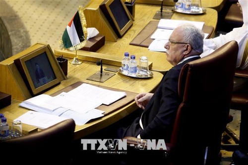 Палестина претендует на полноправное членство в ООН - ảnh 1