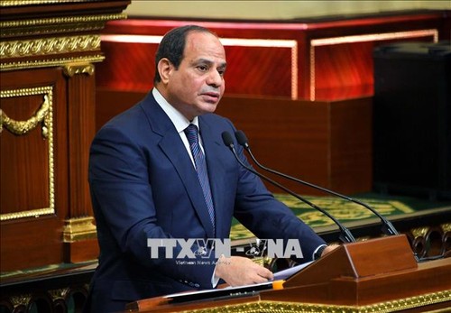 Председателем Африканского союза впервые избран Египет - ảnh 1