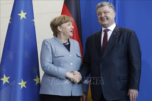 Германия, Франция и Украина приветствовали участие России в урегулировании конфликта в Донбассе - ảnh 1
