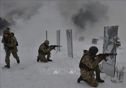 Боевые действия на Востоке Украины унесли много жизней - ảnh 1