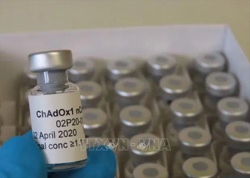 Во Франции летом начнут испытания вакцины от коронавируса на человеке - ảnh 1