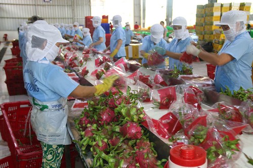 Положительное сальдо торгового баланса Вьетнама за первый квартал достигло почти $3,8 млрд - ảnh 1