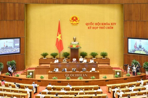 Депутаты парламента обсуждают в режиме онлайн ряд законопроектов - ảnh 1