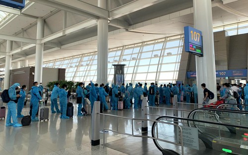 Более 310 вьетнамских граждан были доставлены домой из Республики Корея - ảnh 1