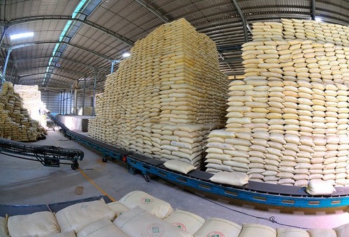 Экспортные цены на вьетнамский рис выросли - ảnh 1