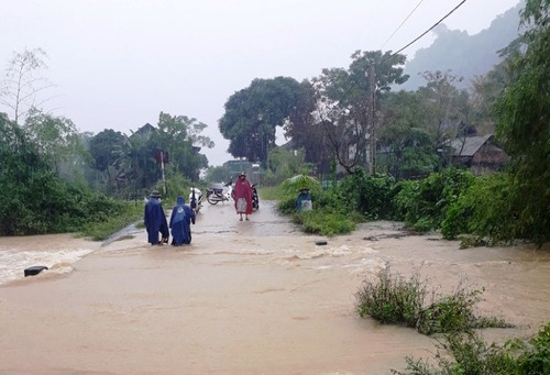 Вьетнам обеспечивает безопасность своих граждан после тайфуна - ảnh 1