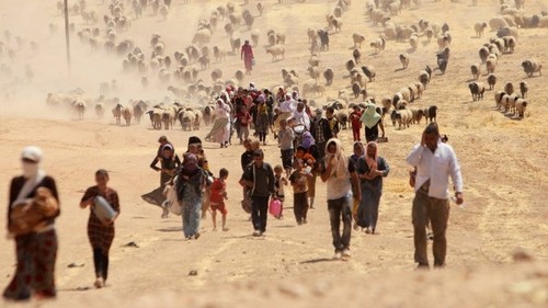 Число вынужденных переселенцев в мире в 2020 году достигло почти 80 млн человек - ảnh 1