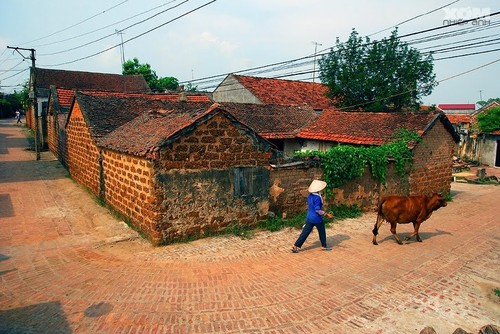 Песни про вьетнамскую деревню - ảnh 1