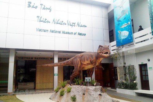 Музей природы Вьетнама является прекрасным местом для знакомства с природой Вьетнама и идеальным адресом для тех людей, которые любят изучать мир природы и науку. - ảnh 1