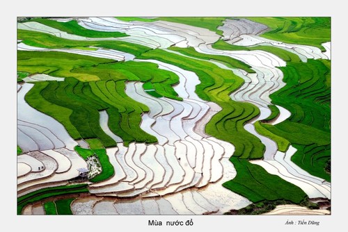 Красота северо-западного региона Вьетнама после полива террасных полей - ảnh 2