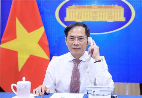 Министр иностранных дел Вьетнама Буй Тхань Шон провел телефонный разговор с министром иностранных дел Сербии - ảnh 1