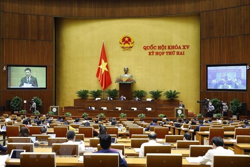 Депутаты парламента обсудили специальную политику развития 4 провинций и городов  - ảnh 1