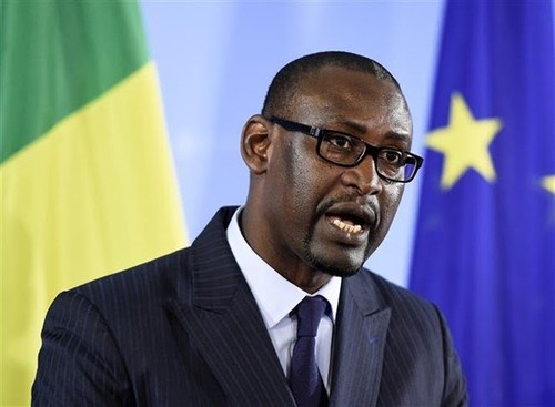 Мали предлагает ЭКОВАС отложить выборы на 5 лет - ảnh 1