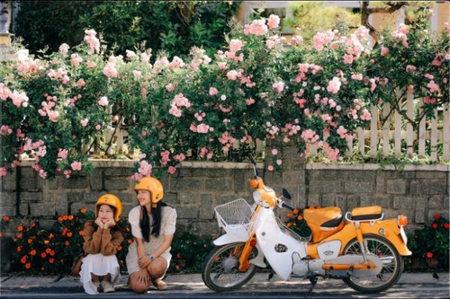 Далат – одно из 10 лучших мест в мире, где можно  любоваться цветами  - ảnh 4