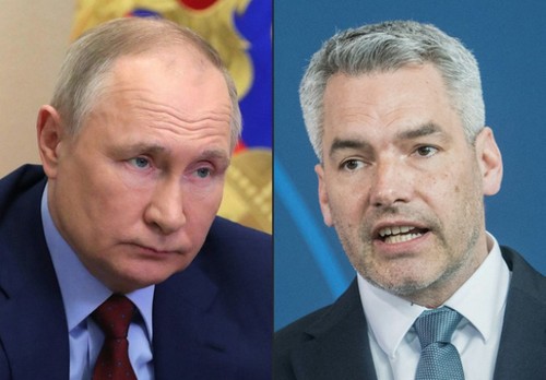 Кремль оценил встречу между президентом РФ и канцлером Австрии  - ảnh 1