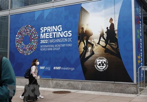МВФ призывает к продолжению сотрудничества внутри G20 - ảnh 1