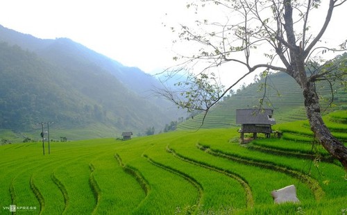 Умиротворяющая красота деревни Намканг в провинции Лаокай - ảnh 6