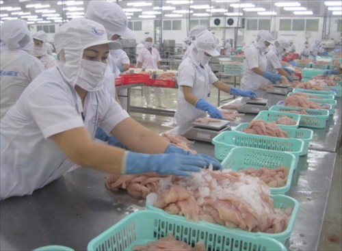 Еще 6 вьетнамских заводов по производству сиамского пангасиуса получили лицензию на экспорт в США - ảnh 1