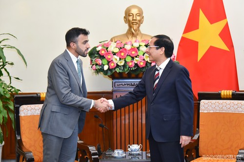 Вьетнам придает важное значение дружественным отношениями и многостороннему сотрудничеству с ОАЭ  - ảnh 1