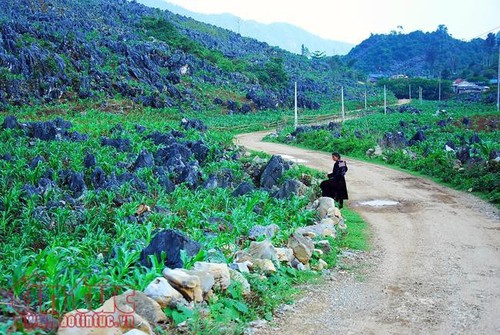 Любуемся красотой уезда Туачуа провинции Дьенбьен - ảnh 5