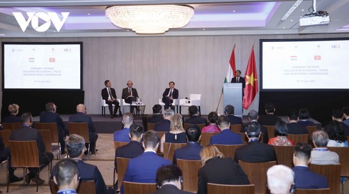 Вьетнамско-венгерский семинар высокого уровня по экономике и торговле открывает большие возможности сотрудничества для предприятий двух стран  - ảnh 1