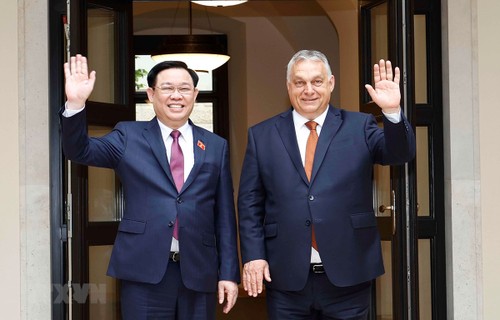 Углубление отношений всеобъемлющего партнерства между Вьетнамом и Венгрией  - ảnh 1