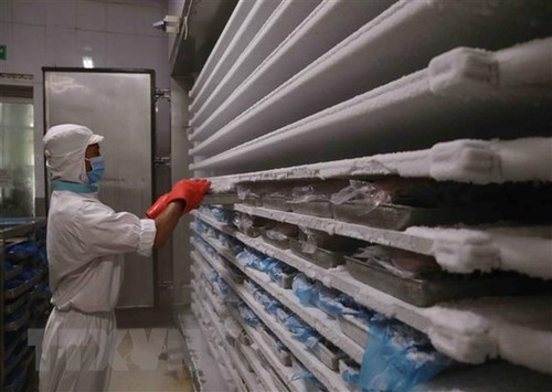 Вьетнам предложил ЕС рассмотреть вопрос о финансировании 5 умных холодильных хранилищ в дельте реки Меконг  - ảnh 1