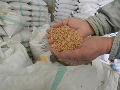 АБР выделит $14 млрд для преодоления продовольственного кризиса в АТР - ảnh 1