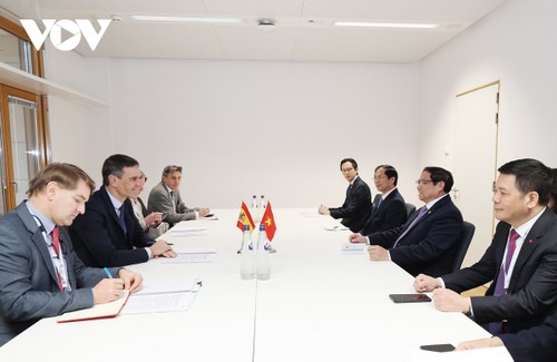 Вьетнам и Испания стремятся увеличить двусторонний товарооборот до 5 млрд долларов  - ảnh 1