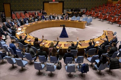 Совбез ООН cозвал совещание по гуманитарной ситуации на Украине - ảnh 1