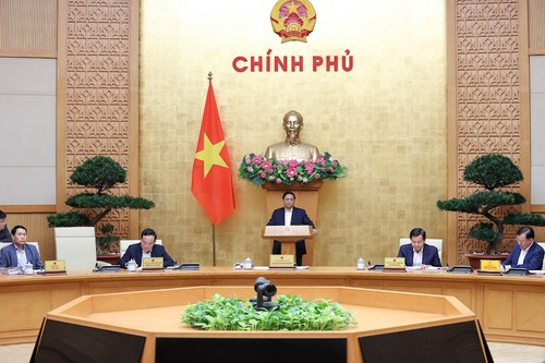 Премьер-министр Фам Минь Тинь председательствовал на заседании правительства по законотворчеству - ảnh 1
