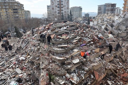 Вьетнамцы в Польше поддерживают пострадавших от землетрясений в Турции и Сирии  - ảnh 1