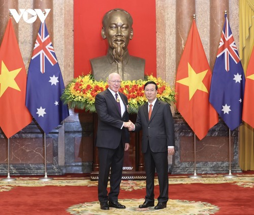 Президент Во Ван Тхыонг возглавил церемонию приветствия генерал-губернатора Австралии Дэвида Херли - ảnh 2
