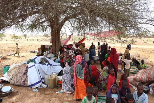 ООН назвала ситуацию в Судане «катастрофой»  - ảnh 1