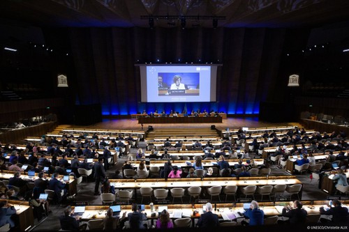 Вьетнам принимает участие в 216-й сессии Исполнительного совета ЮНЕСКО - ảnh 1