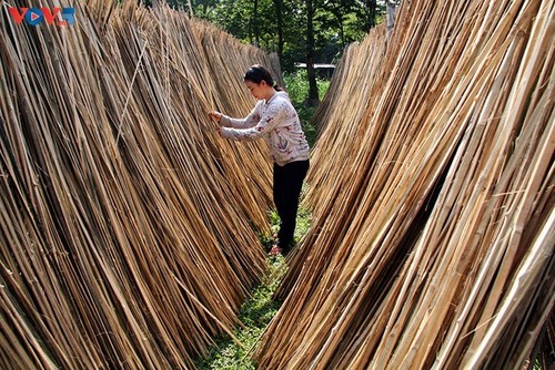 200-летняя ремесленная деревня по плетению изделий из бамбука и ротанга в уезде Кучи  - ảnh 3