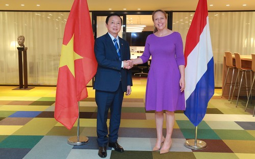 Вице-премьер Чан Хонг Ха находится с рабочим визитом в Нидерландах - ảnh 1