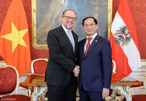 Министр иностранных дел Вьетнама Буй Тхань Шон провел встречу с австрийским коллегой Александром Шалленбергом - ảnh 1