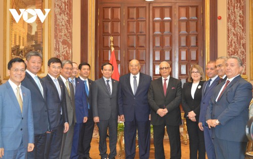 Вьетнам желает укрепить многогранные отношения с Египтом - ảnh 1