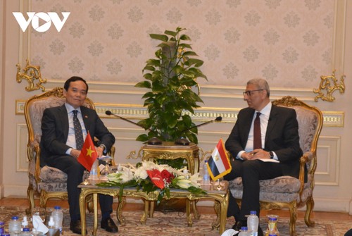 Вьетнам желает укрепить многогранные отношения с Египтом - ảnh 2