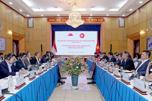 17-я Министерская конференция по экономическому сотрудничеству между Вьетнамом и Сингапуром - ảnh 1