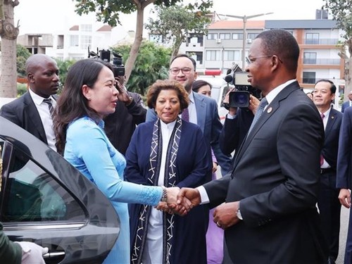 Вьетнам и Мозамбик развивают сотрудничество во многих областях - ảnh 1